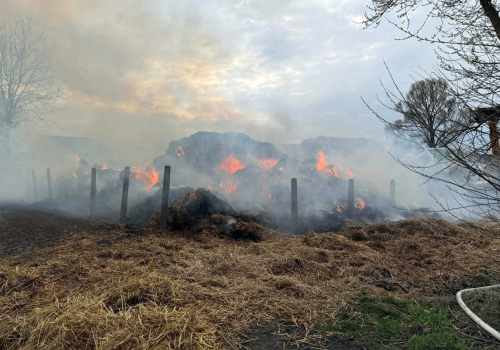 Podpalenie 200 balotów słomy. Sprawcy zatrzymani dzięki psu służbowemu