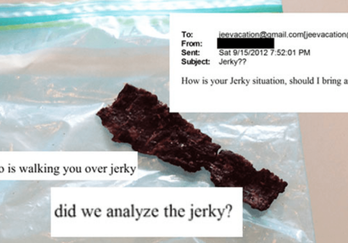 ”JERKY”EPSTEINA – PO CO ANALIZOWALI LUDZKIE MIĘSO ?