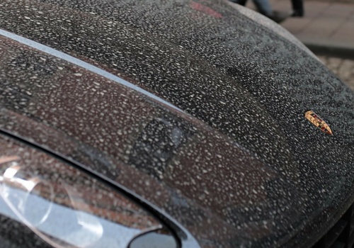 Mycie auta teraz nie ma sensu. Pył znad Sahary wraca nad Polskę