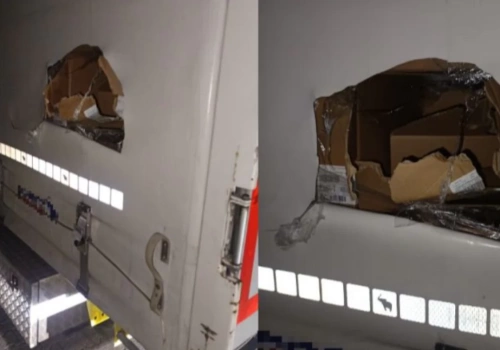 Amatorzy klocków LEGO w rękach policji