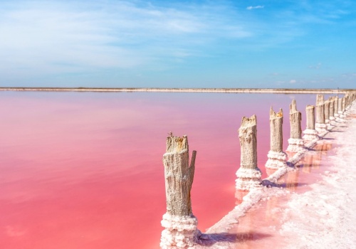 Nie do wiary, że to w Europie. Różowe jezioro zachwyca