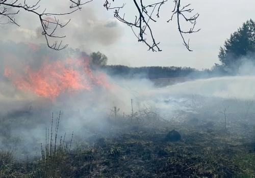 Duży pożar pod Ciechanowem. Zagrożone były budynki