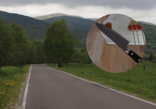 Ugodził brata nożem, śmierć była o krok. Zapadł wyrok ws. szokującej sprawy z Bieszczad