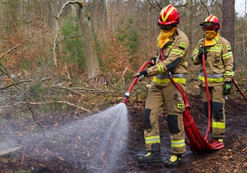Międzynarodowe ćwiczenia ‘OGNISTE WZGÓRZE 2026’ w Nadleśnictwie Świebodzin
