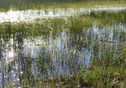 3,8 tys. wniosków o pieniądze za GAEC 2