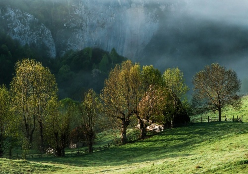 Miał dość życia w Anglii. Sprzedał wszystko i wyjechał. Teraz mieszka w górskiej chacie