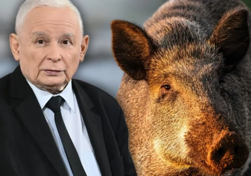 Kaczyński udawał dzika w Sejmie. Leśnik ocenił odgłosy prezesa PiS