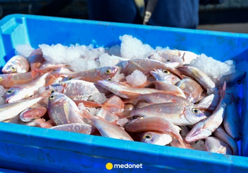 Chińscy naukowcy potwierdzają zakażenia. 