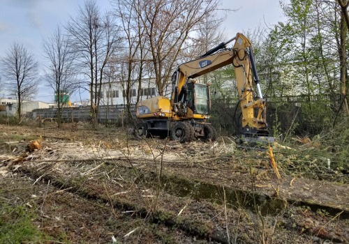 Prace przy „Szczucince” rozpoczęli od wycinki dzikiej zieleni