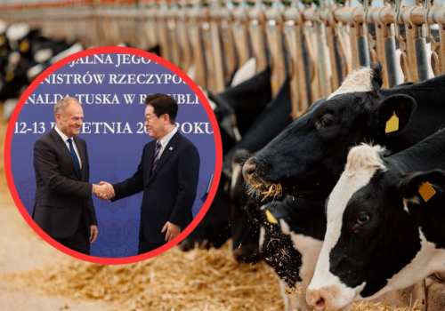 Rząd chce wysłać polską wołowinę do Korei. Branża mięsna już liczy pieniądze