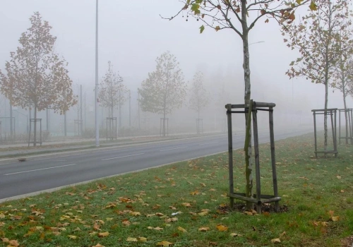 Nie pozwolili mu zrobić zjazdu na działkę. NSA: „nie” to za mało