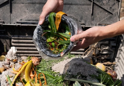 Kompostownik bez błędów na start. Robię to raz i mam najlepszą ziemię w ogrodzie