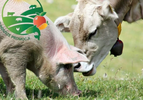 Ponad 100 mln zł z rocznie. Kto i na co wydaje pieniądze rolników?