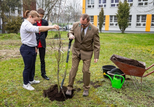 Drzewo pamięci Dziewięciu z „Wujka” zasadzone w Katowicach. To część obchodów 45. rocznicy pacyfikacji