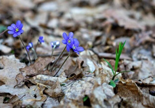 Za nami trzeci najsuchszy marzec w historii pomiarów meteorologicznych