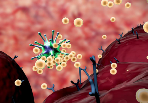 Rewolucja w dziedzinie immunologii: W jaki sposób limfocyty zmieniają walkę z rakiem