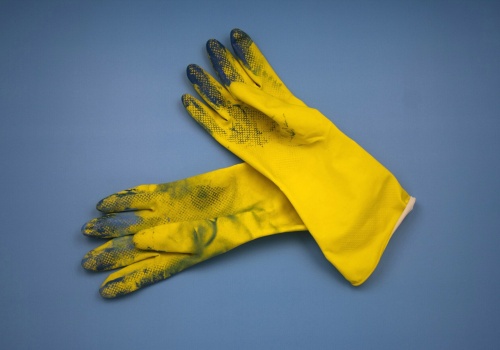 Praca: od biologicznego fundamentu do kryzysu tożsamości