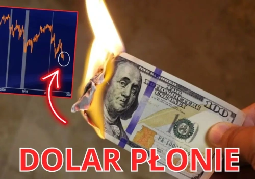 Kurs dolara stracił 30% przez ten jeden czynnik. Czy USD/PLN spadnie do 3 zł?