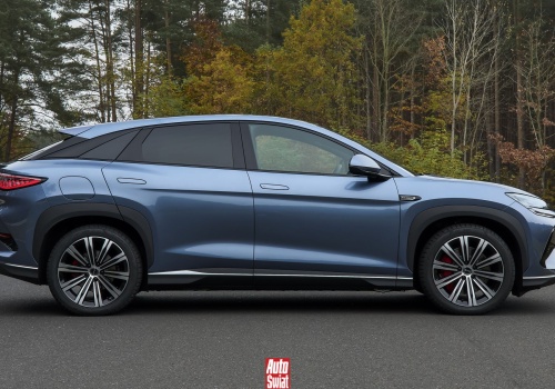 Rząd dopłaca do elektryków, więc Niemcy korzystają. Ale to nie tak miało być