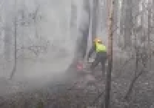 Niezwykła odwaga Krzysztofa Sycza. Wycinał płonące drzewa, by ratować las