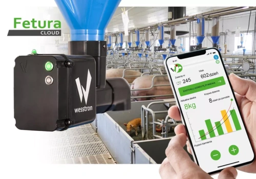 Fetura CLOUD- Jak zwiększyć opłacalność fermy trzody? Gdzie uciekają pieniądze w produkcji?