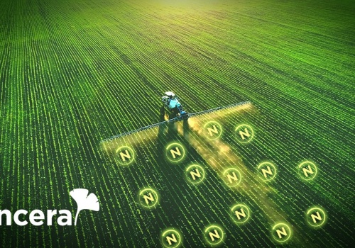 Do +20,7% plonu. Gdzie ENCERA WG dawała najwyższe wzrosty w doświadczeniach?