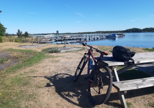 Rowerowa Polska PZU.  Braki w wiedzy zwiększają ryzyko na drogach