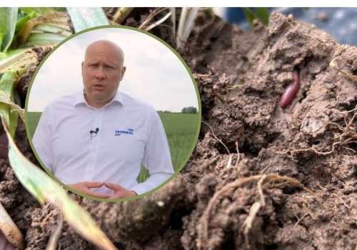 Gleba to żywy organizm. Jak mikrobiologia buduje fundament nowoczesnego rolnictwa?