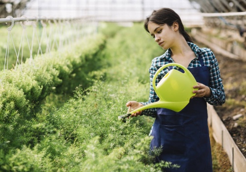 Zastosowanie surfaktantów w nawozach dolistnych