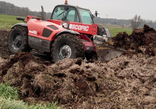 Ile kosztuje obornik w kwietniu 2026? Który jest najlepszy?