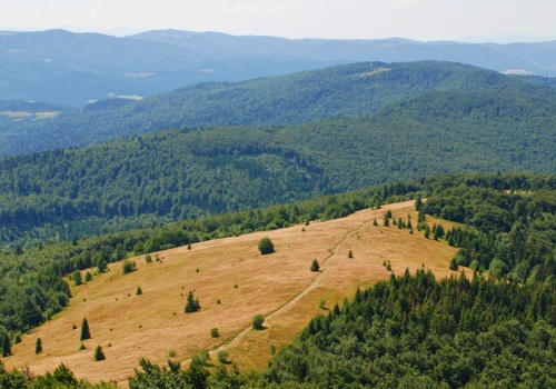 To największa polana w Beskidzie Wyspowym. Jak wędrować na Mogielicę?