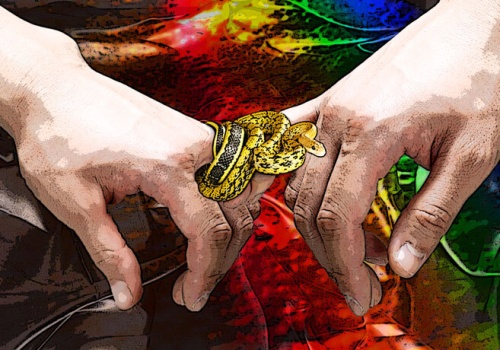 Sodoma i Gomora na Dolnym Śląsku. Wzrost zakażeń HIV, kiłą, chlamydiozą i rzeżączką