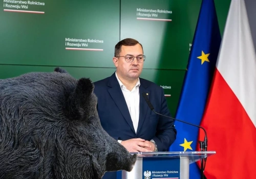 Spór o dziki wraca. Minister odpowiada protestującym i ostrzega przed ASF w Polsce