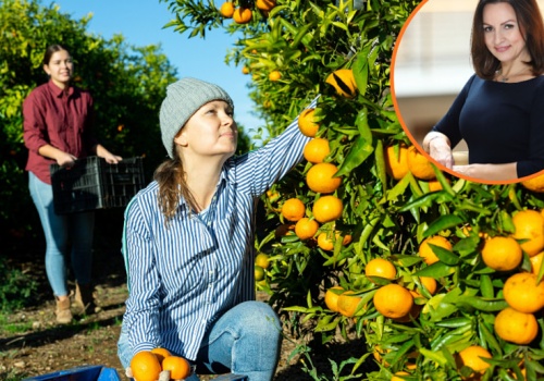 Pokolenie Alfa na rynku pracy. Trzy kluczowe oczekiwania wobec pracodawcy
