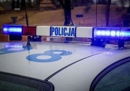 Makabryczne odkrycie pod Bolesławcem. Tajemnicze zwłoki w ruinach Wizowa