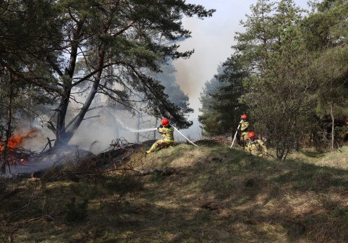 Służby ćwiczyły na poligonie wojskowym w Orzyszu