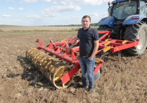 Rzepak się sypie. „Tysiąc chowaczy w jednej misce”