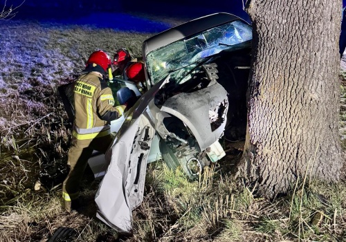 Tragedia na DW! Auto uderzyło w drzewo – kierowca nie żyje