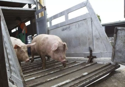 System działa, urzędy nie. Rolnicy odbijają się od nowych przepisów