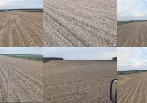 Jeździł samochodem po świeżo zasianych burakach. Wyrządził straty na ponad 20 tys. złotych