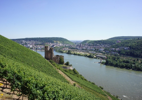 Autostrada, jakiej możemy pozazdrościć nawet 2000 lat później. Archeolodzy odkryli w Niemczech niezwykły szlak