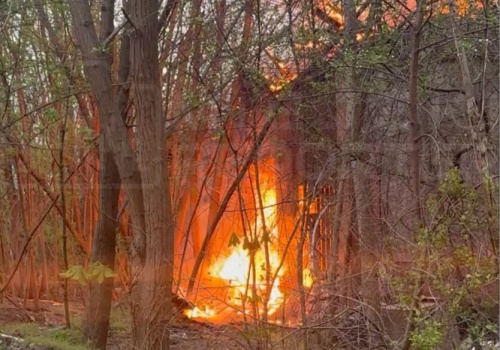 Pożar pustostanu na Bemowie. Na miejscu działa straż pożarna