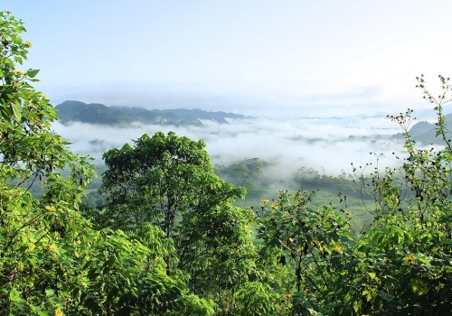 Archeolodzy zidentyfikowali w Amazonii coś znacznie starszego od Kolumba. To sieć dróg w centrum dżungli