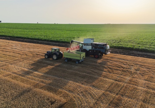 Agroholdingi na Ukrainie zwiększyły zyski o 40 procent. Oligarchowie mogą świętować