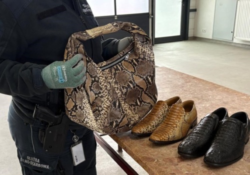 Myślał, że bez problemu przewiezie je przez granicę. Teraz grozi mu 5 lat więzienia