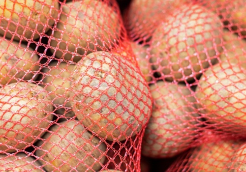 Do miliona ton ziemniaków zalega u rolników. Branża ostrzega przed falą bankructw