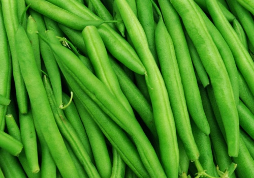 Ranking na najbardziej trującą roślinę 2026: wygrała fasolka. Decyduje 1 szczegół