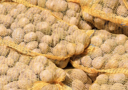 Polskim rolnikom grozi bankructwo. 