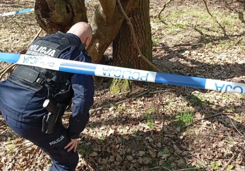 Akcja policji w lesie. Znalezisko podczas spaceru postawiło służby na nogi