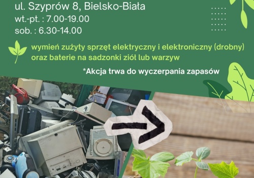 Jak świętować Dzień Ziemi? Zapraszamy na eko-wydarzenia!